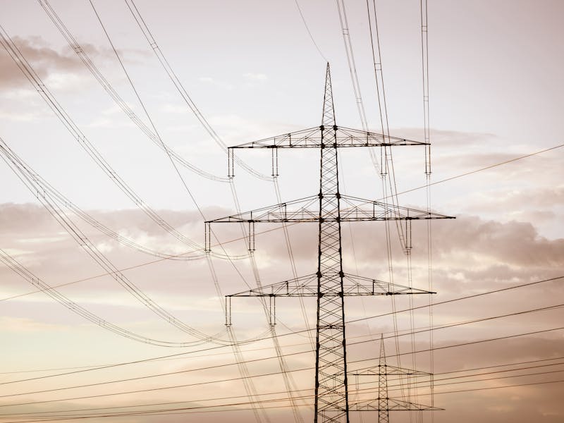 pexels-photo-16673059-2