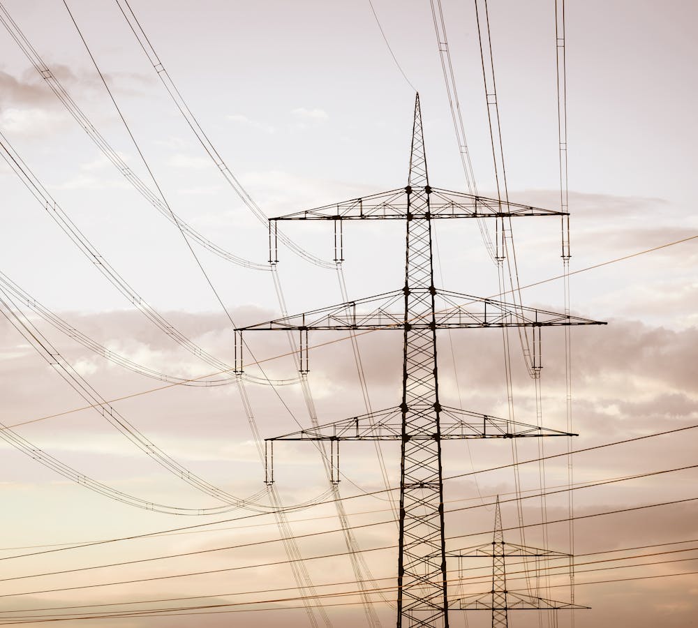 pexels-photo-16673059