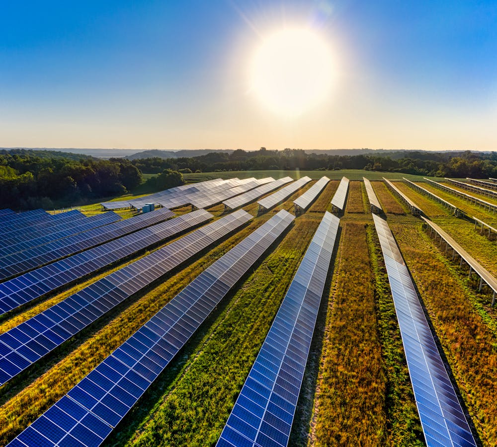 pexels-photo-9893729-1